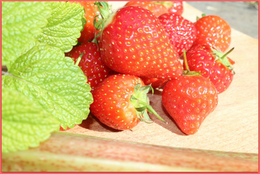 strawberry mint rhubarb