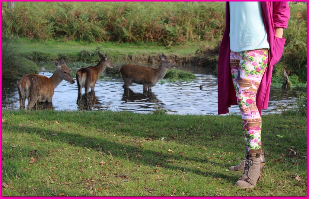 Leggings from Danish brand Molo matching my surroundings 