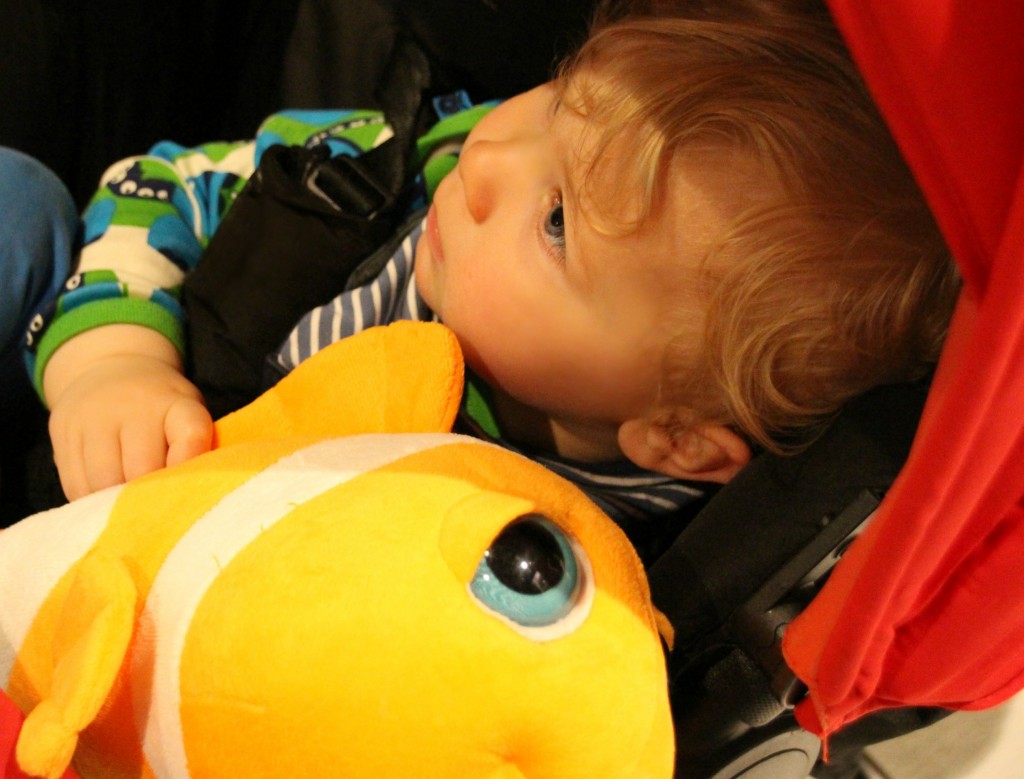 Caspian and his new cuddly clown fish.