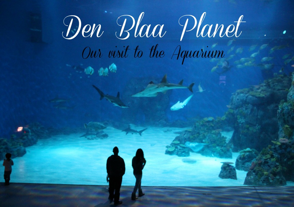 Our visit to The Blue Planet, the aquarium of Copenhagen.