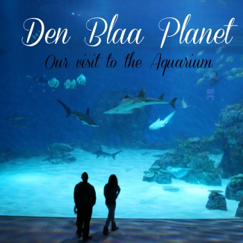 Our visit to The Blue Planet, the aquarium of Copenhagen.