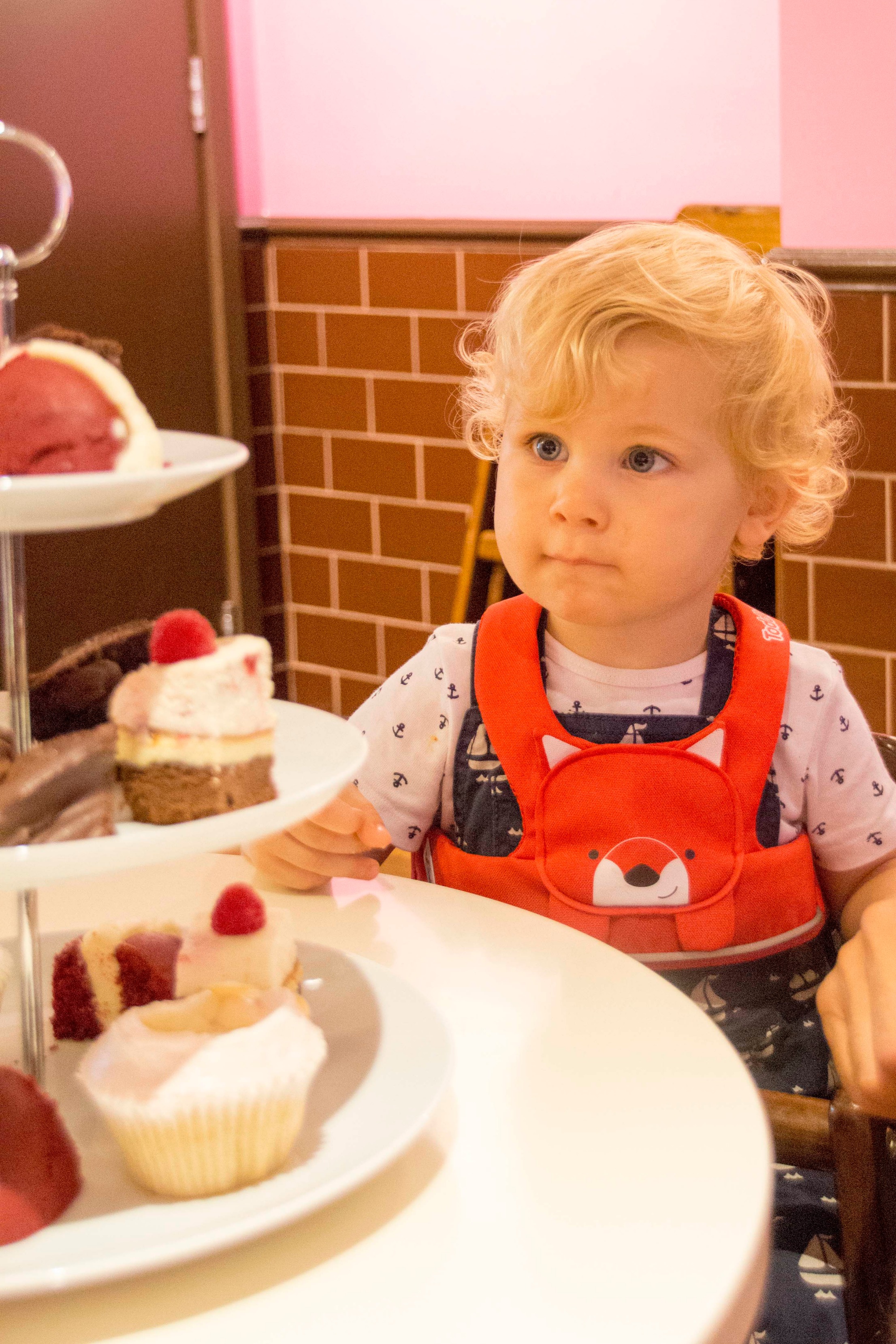 Boy starring at cakes