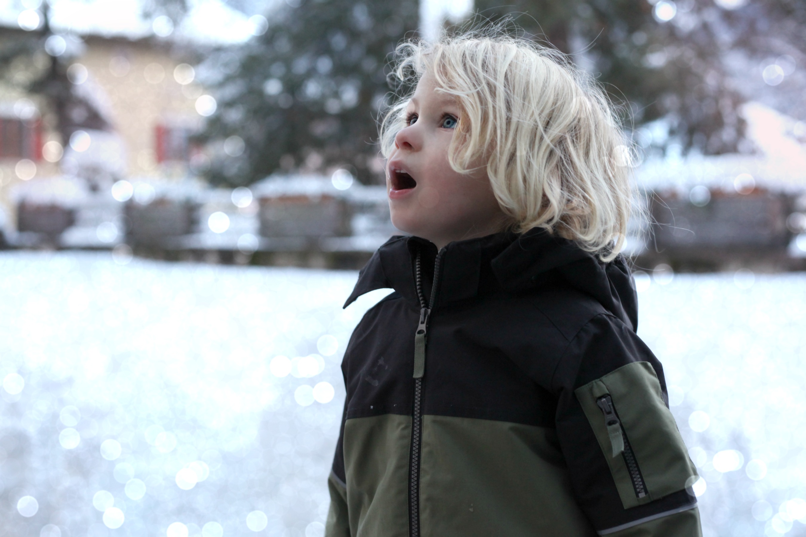 Young boy experiencing proper snow for the first time in Val di Fiemme, Dolomites, Italy.